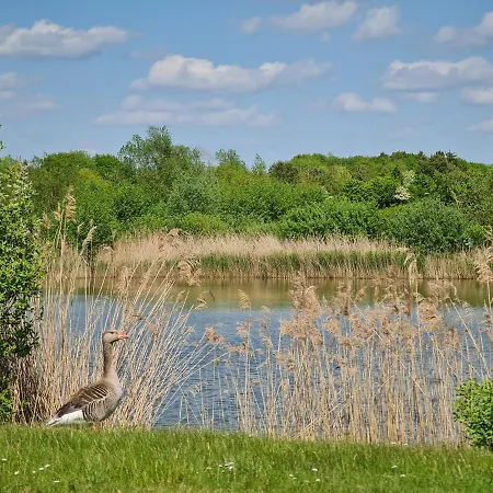 Seevilla Dubai - Luxus Göhren-Lebbin