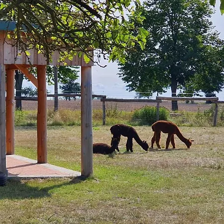 Seevilla Dubai - Luxus * Göhren-Lebbin